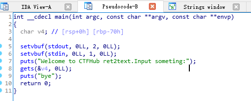 ret2text | CTFHub